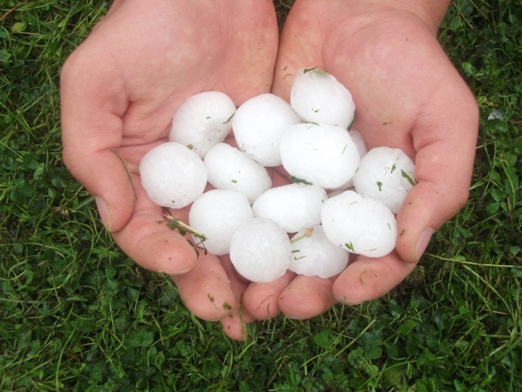 Handful of recently fallen hail in the Colorado Front-range