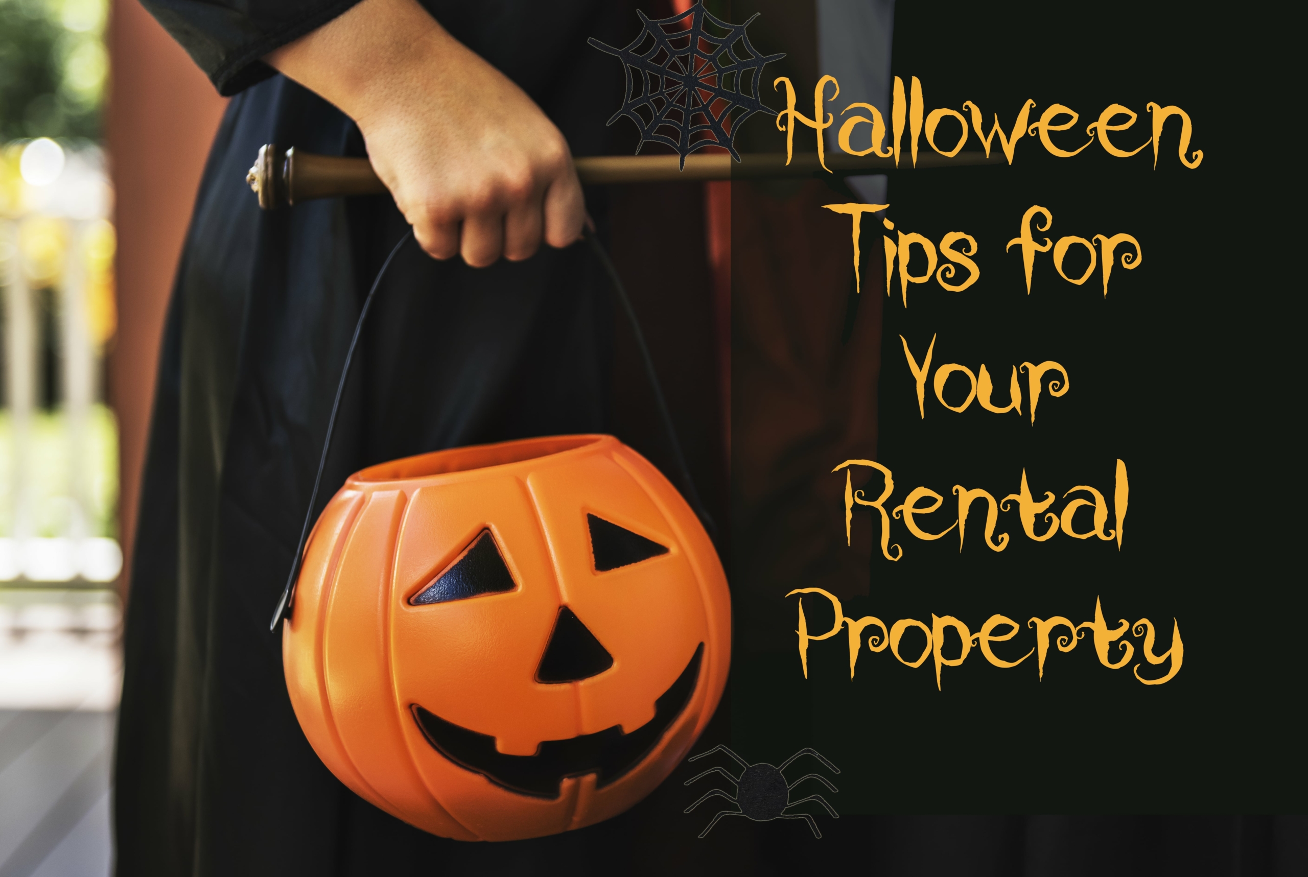 How to rent halloween ann's blog