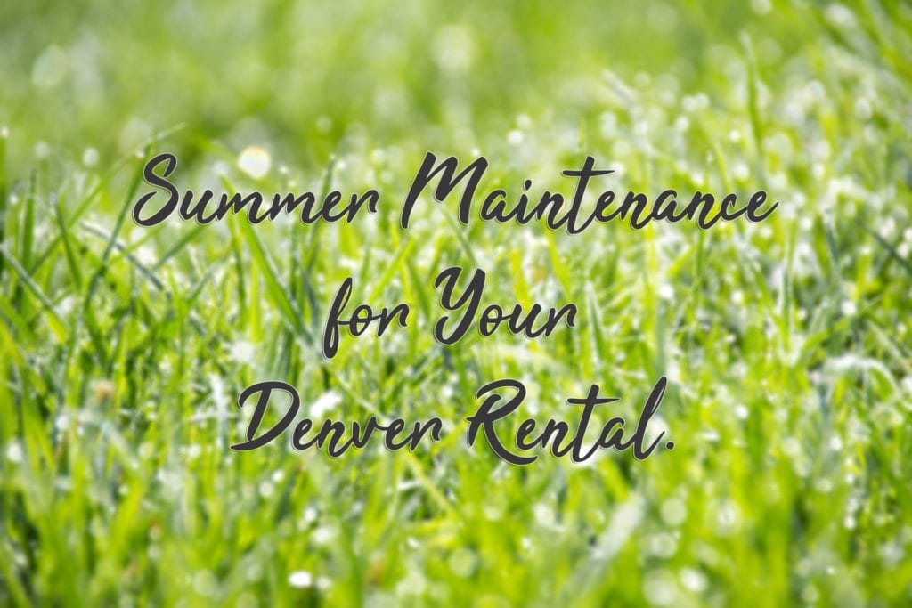 Grass in the Colorado summer with the words "Summer maintenance for your Denver rental"