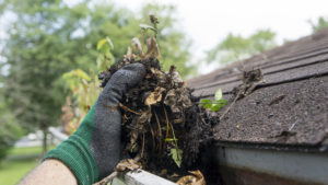Handful of leaves from a gutter in a Arvada rental property